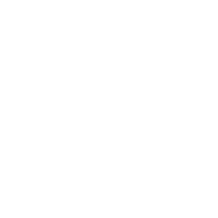icon architecture