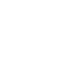 icon management