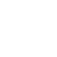 icon region