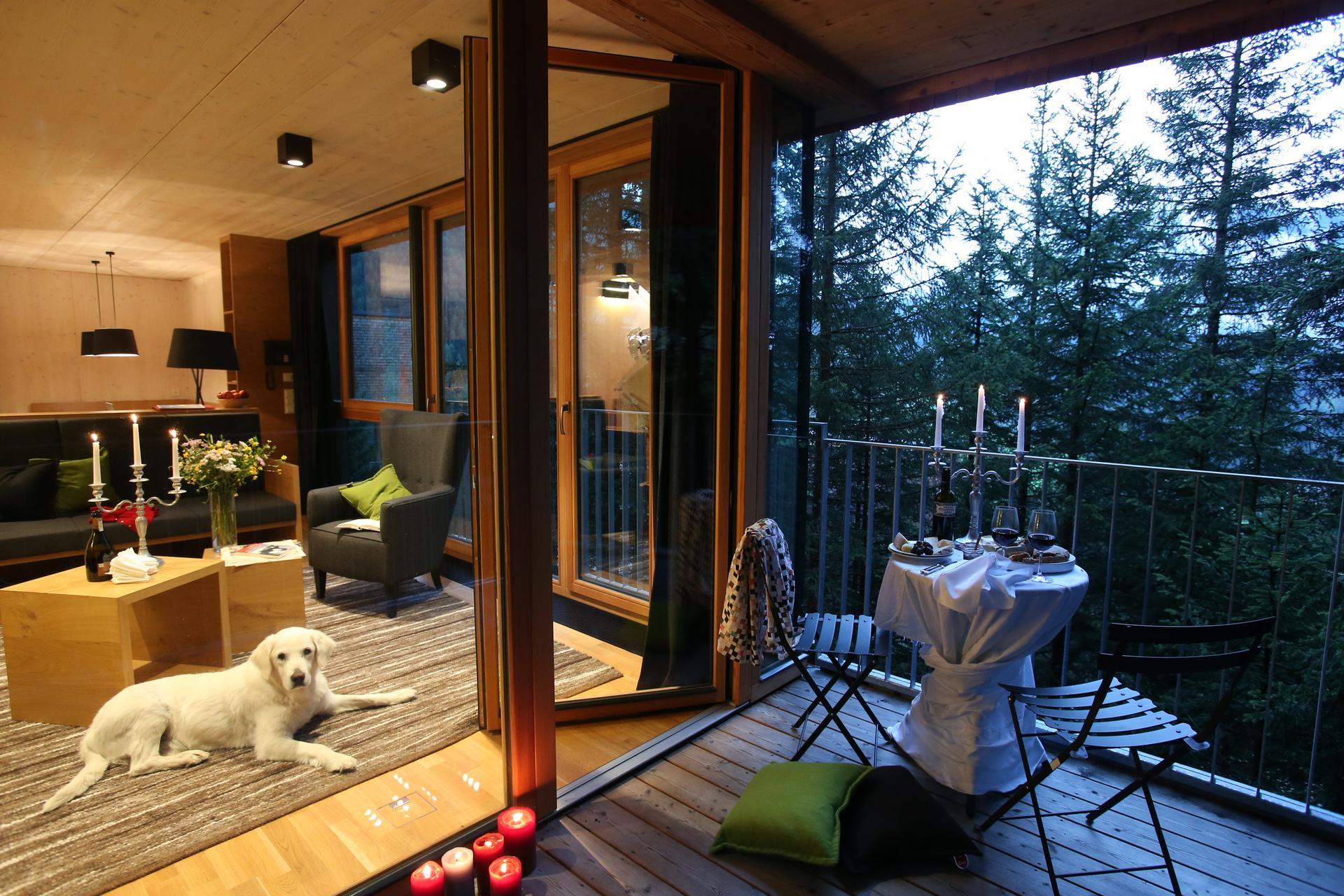 Sustainable Travel with a Dog