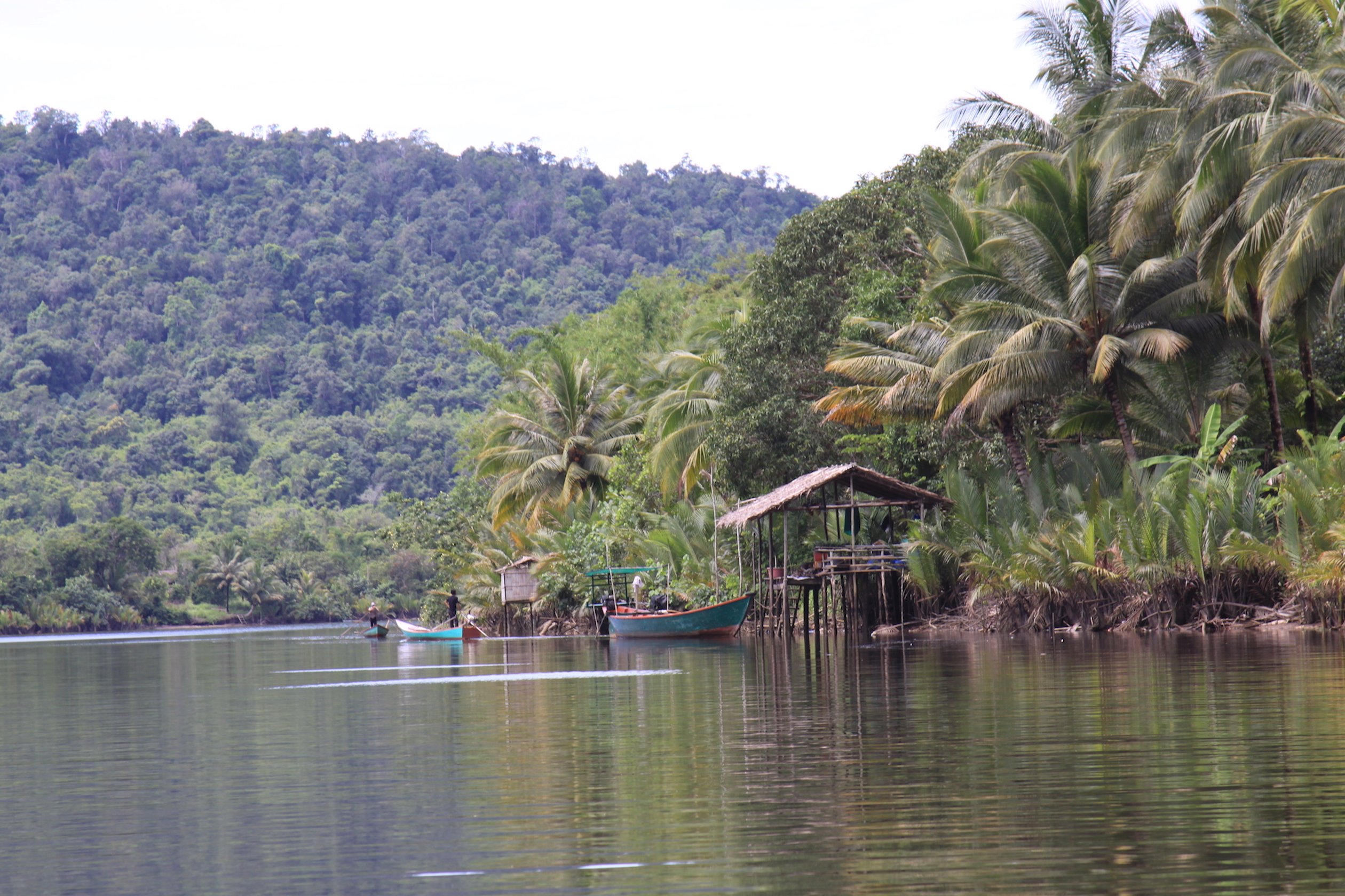 Landscapes from 4 Rivers Floating Lodge