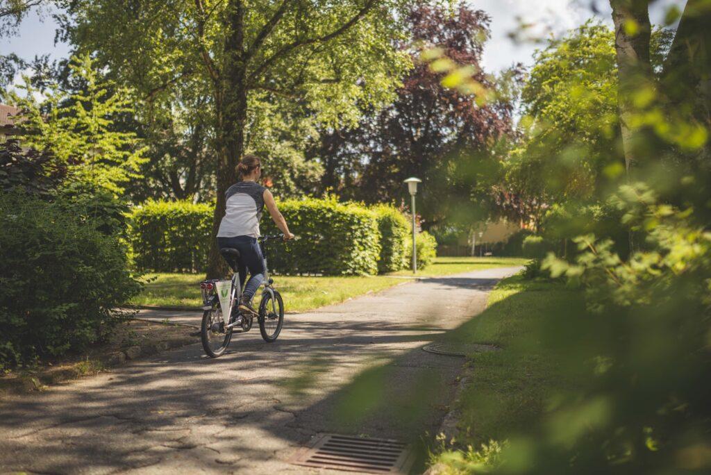 Eine Person fährt mit dem Fahrrad einen sonnigen, von Bäumen gesäumten Weg in Erlangen entlang, umgeben von üppigem Grün. Die Szene vermittelt eine friedliche, gemächliche und entspannte Atmosphäre.