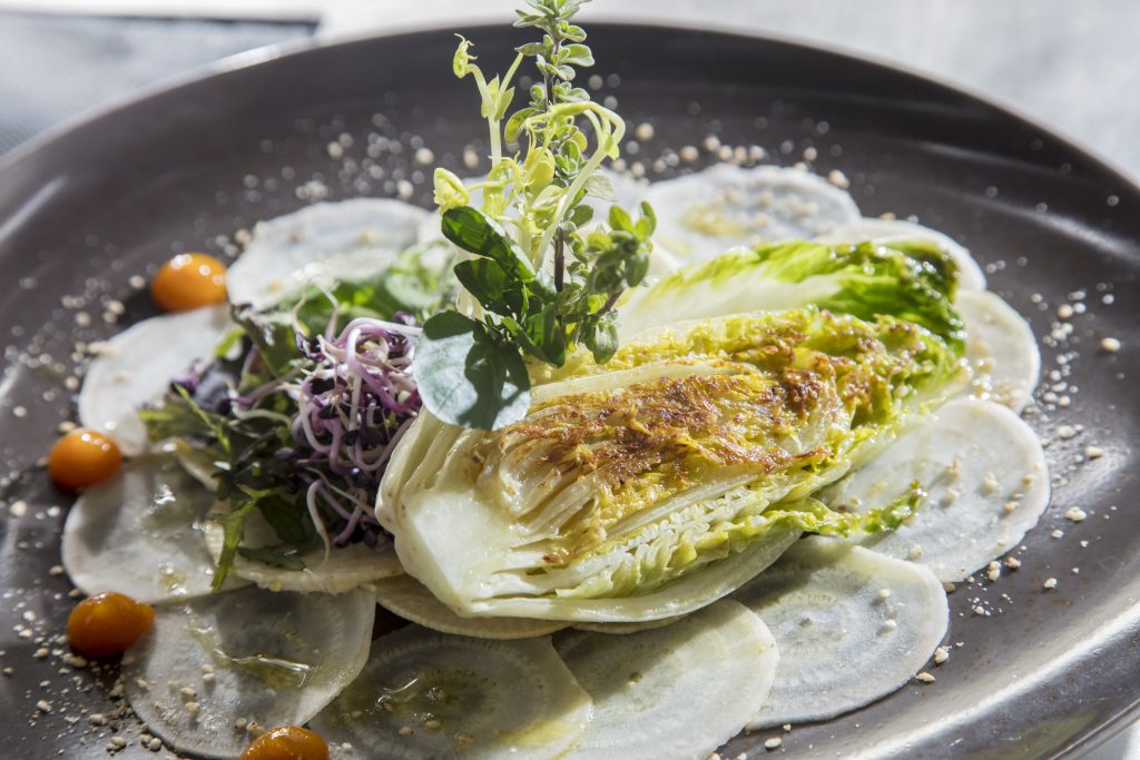 Alkaline menu at the Black Forest Panorama