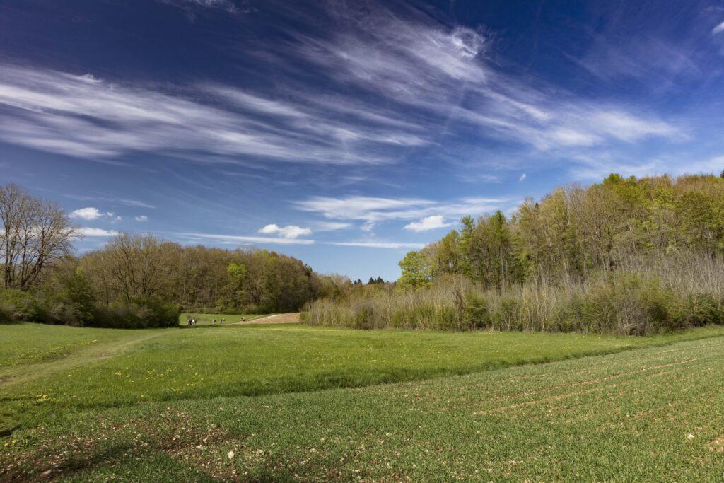 Eine ruhige Landschaft mit einer weitläufigen grünen Wiese unter strahlend blauem Himmel in der Nähe von Erlangen in Franken. Zarte Wolken ziehen über den Himmel, gesäumt von üppigen Bäumen, und vermitteln ein Gefühl der Ruhe.