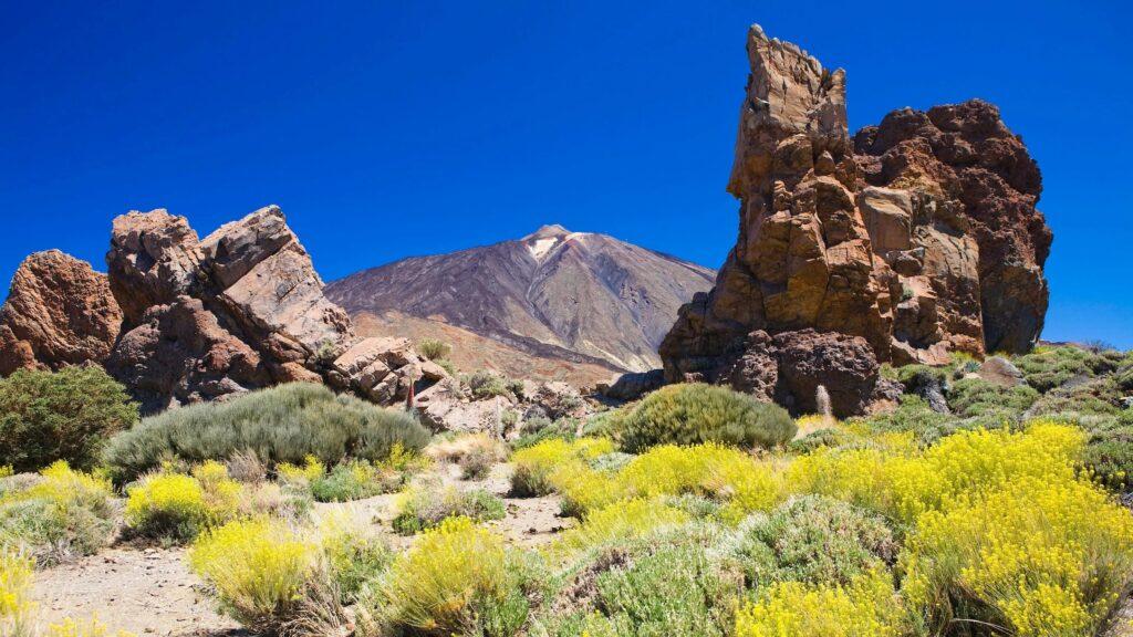 Die felsige Landschaft im Norden Teneriffas mit markanten Felsformationen im Vordergrund, leuchtend gelben Blumen und grünen Sträuchern. Der Teide unter einem klaren blauen Himmel dominiert den Hintergrund.