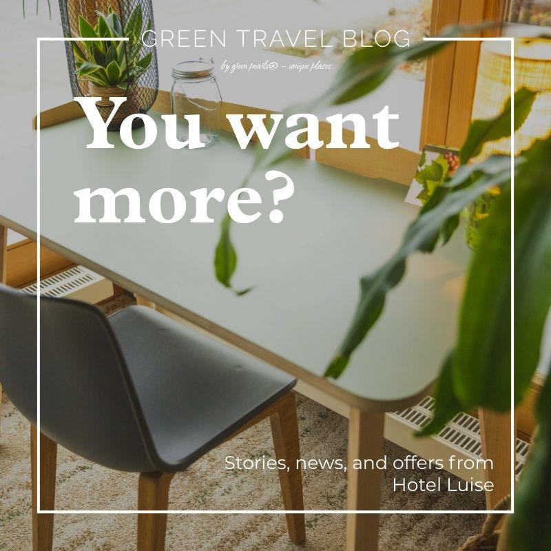 Cozy workspace at sustainable Hotel Luise with plants and a table set by a window. Text reads "You want more? Stories, news, and offers from Hotel Luise." Calm and inviting.