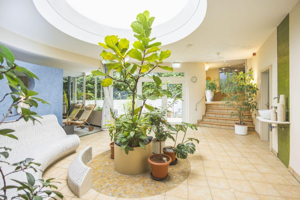 Moderner Wellnessbereich im Hotel Luise in Erlangen mit Fliesenboden und Pflanzen, ausgestattet mit einem großen Oberlicht. Weiße Loungesessel und eine Treppe im Hintergrund sorgen für eine ruhige Atmosphäre.