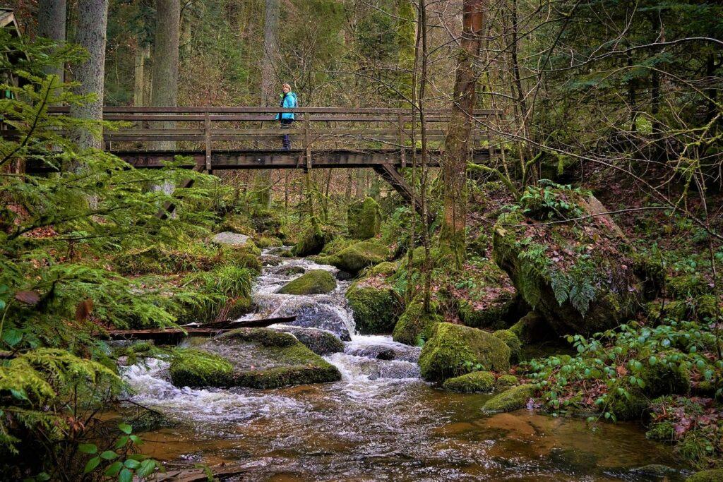 Eine Person in einer blauen Jacke steht auf einer Holzbrücke über einem felsigen Bach im dichten Schwarzwald. Moosbewachsene Felsen und üppiges Grün schaffen eine ruhige Atmosphäre.