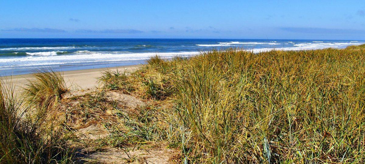 Beach hotels USA