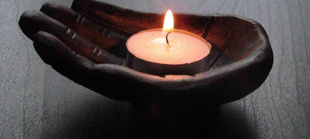 Ayurveda Hotels India