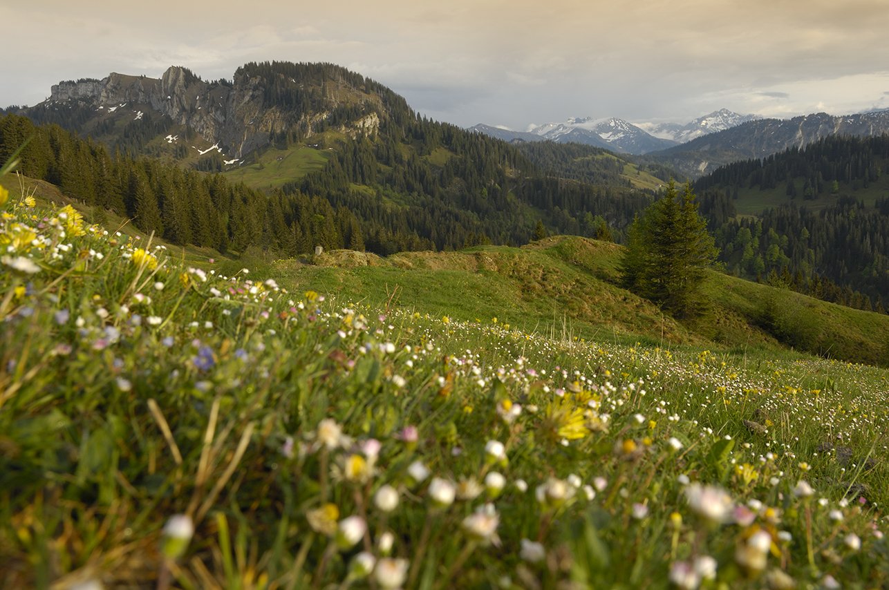 HUBERTUS Mountain Refugio Allgäu