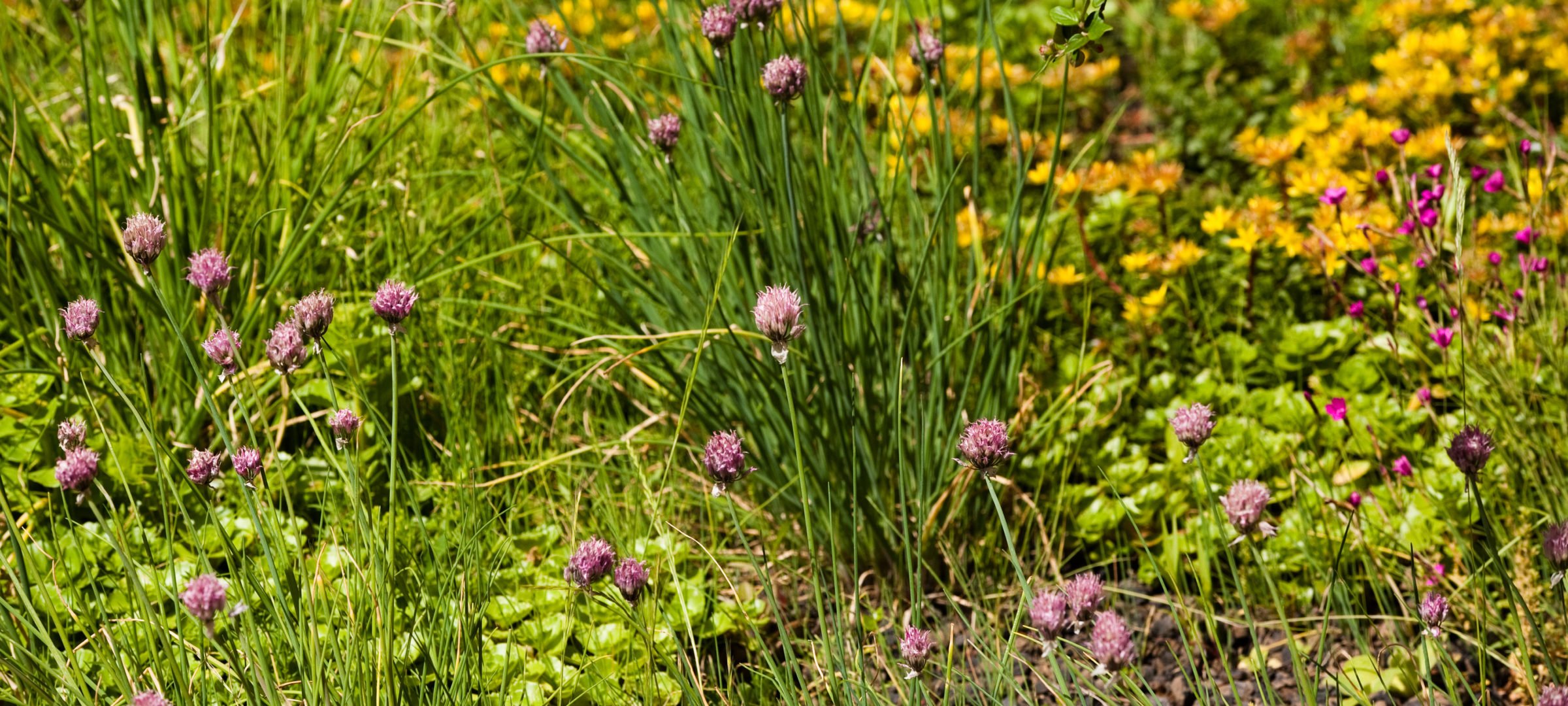 Natur Erlangen Creativhotel Luise