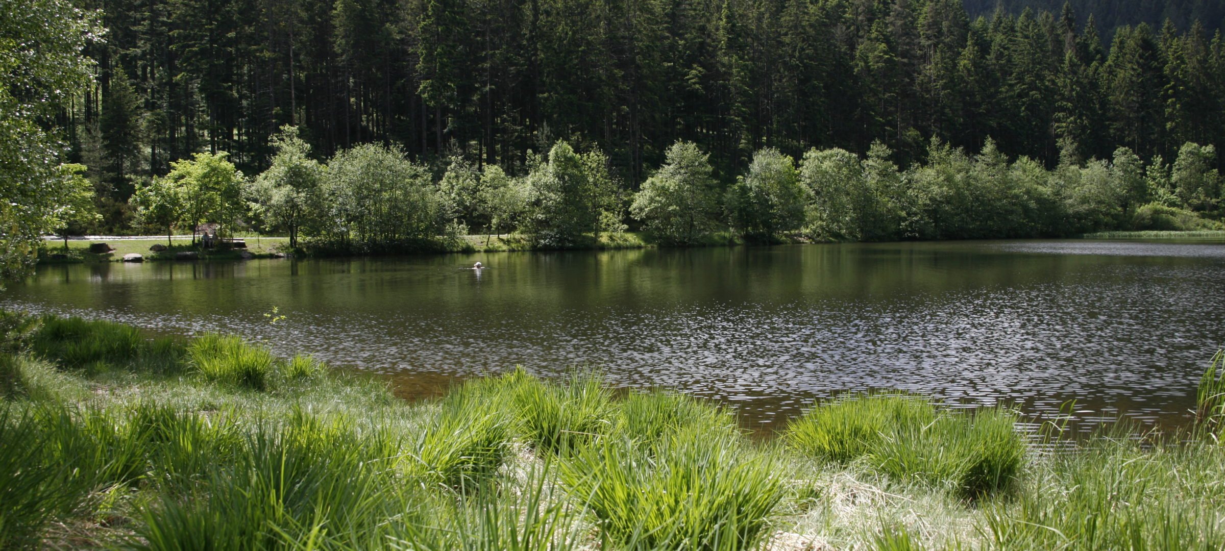 Sankenbachsee Schwarzwald Hotel Lamm