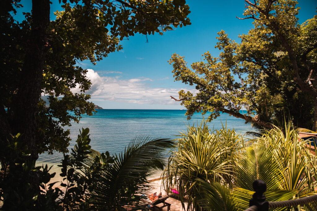 Blick durch dichten tropischen Bewuchs auf einen kleinen Strandabschnitt mit Sand und ruhigem Meer im nachhaltigen Cerf Island Resort auf den Seychellen