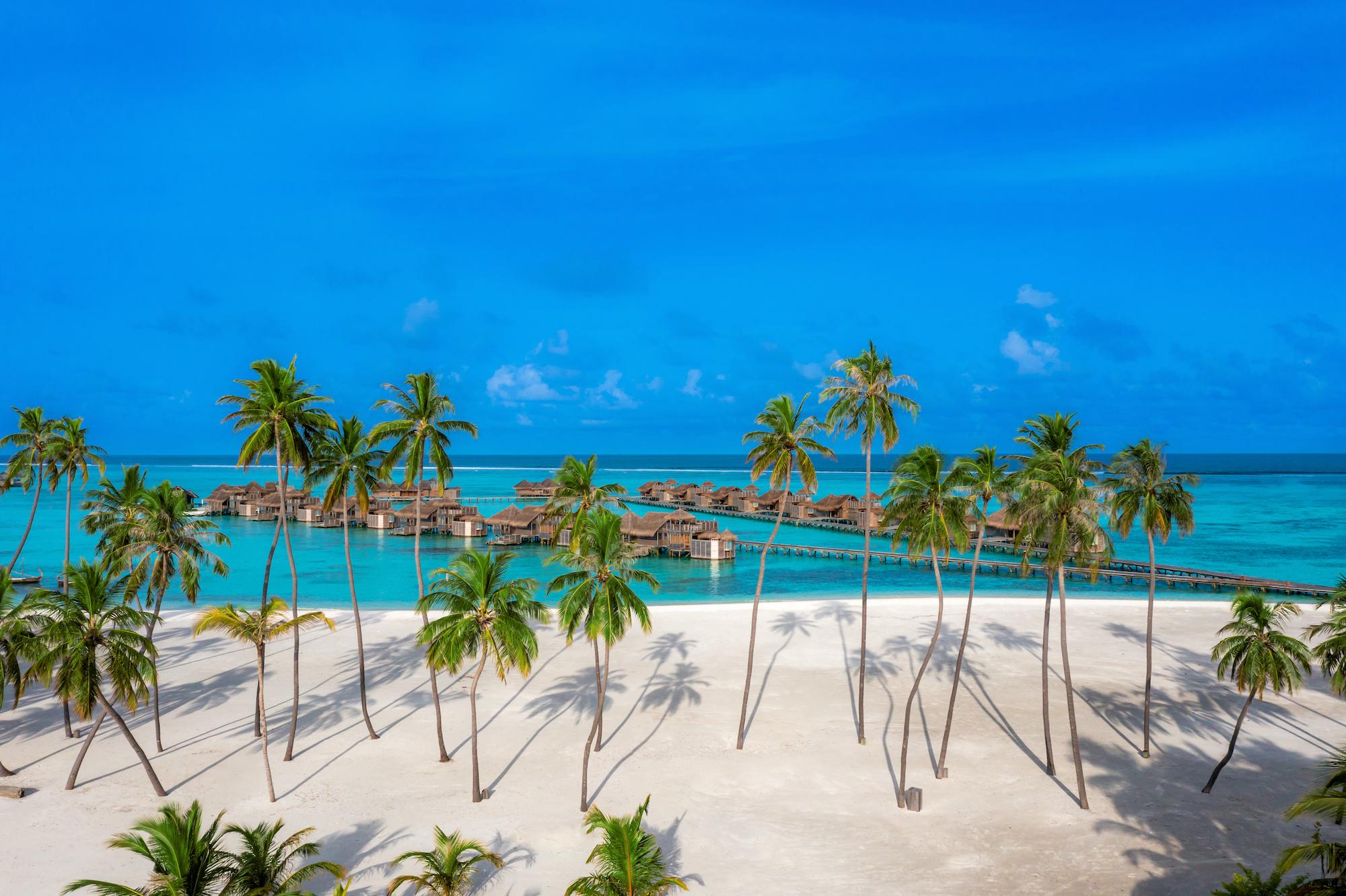 Strand mit Palmen auf den malediven im nachhaltigen Gili Lankanfushi