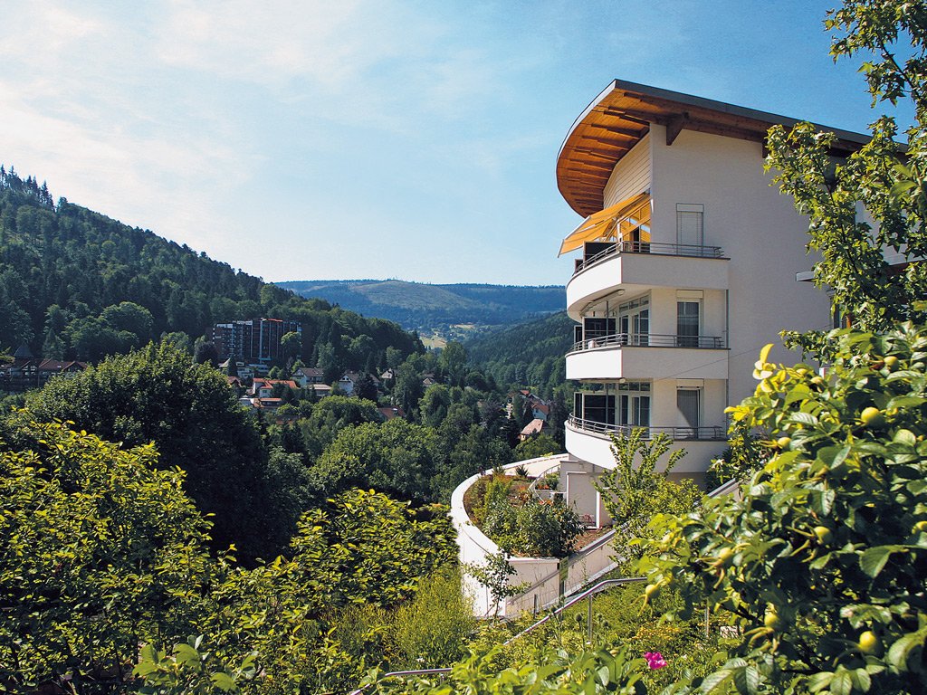 SCHWARZWALD PANORAMA.