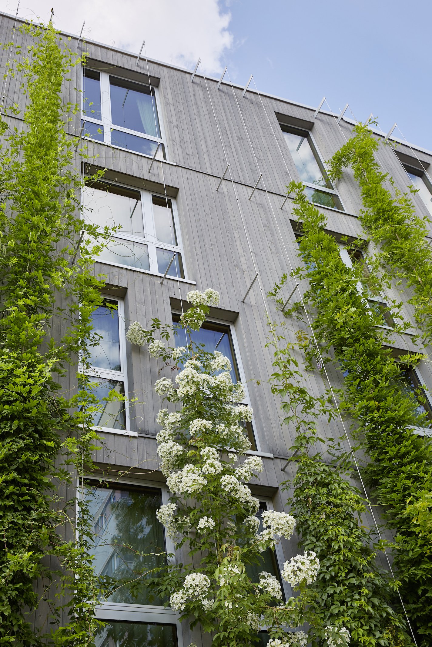 Green City Hotel Vauban-Facade