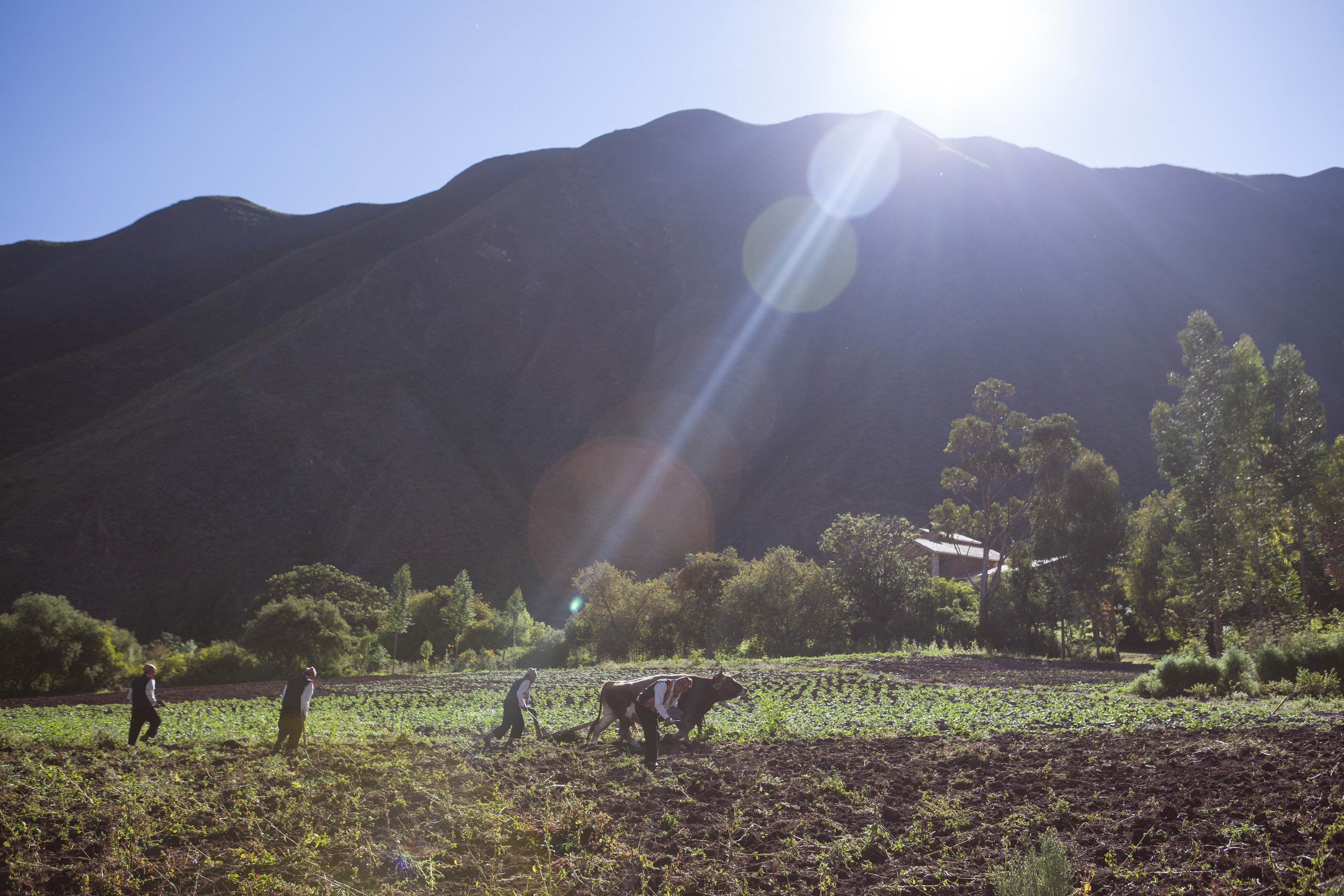 Inkaterra Hacienda Urubamba – Agriculture