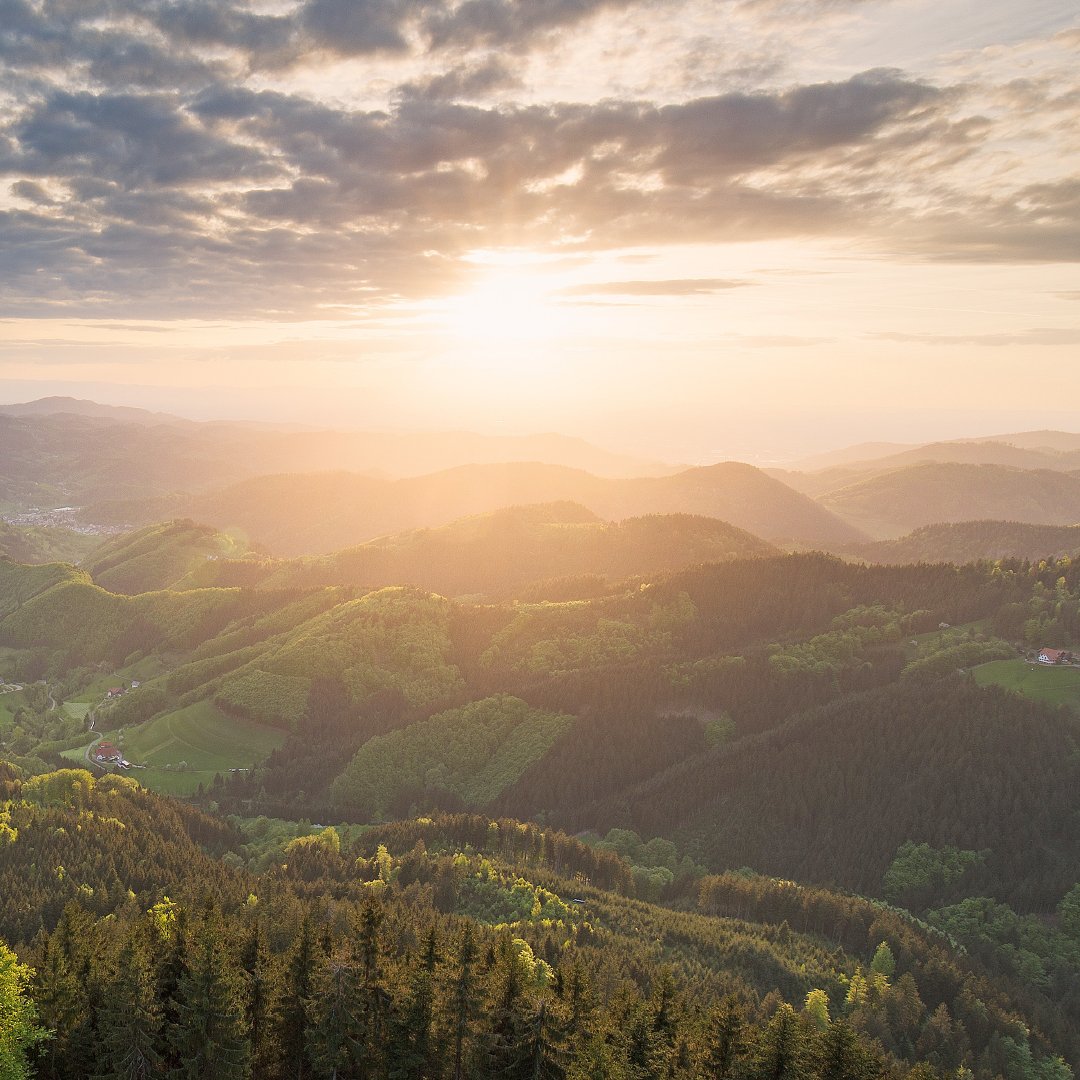 Sonnenuntergang Schwarzwald