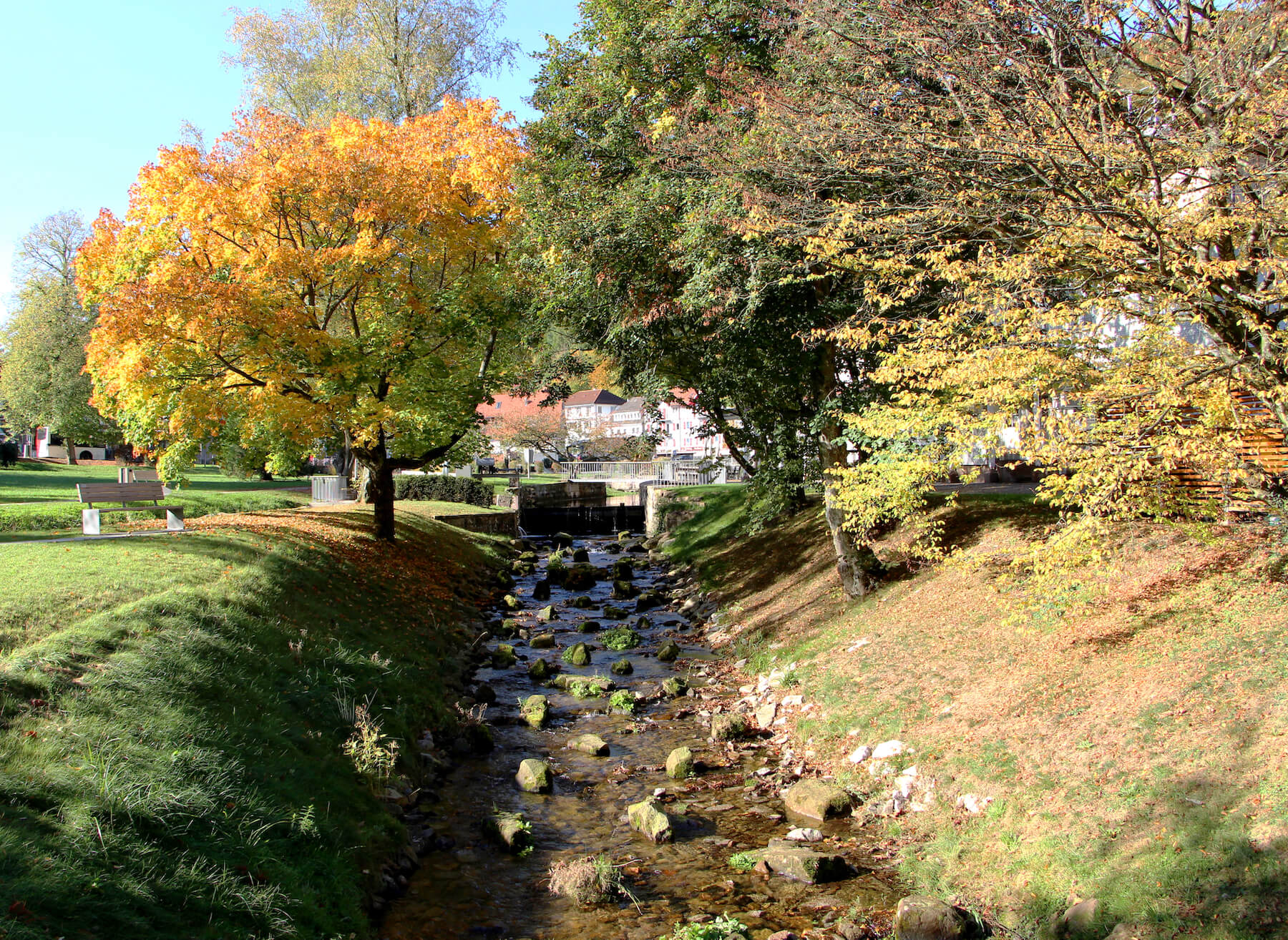 Bad Herrenalb Kurpark