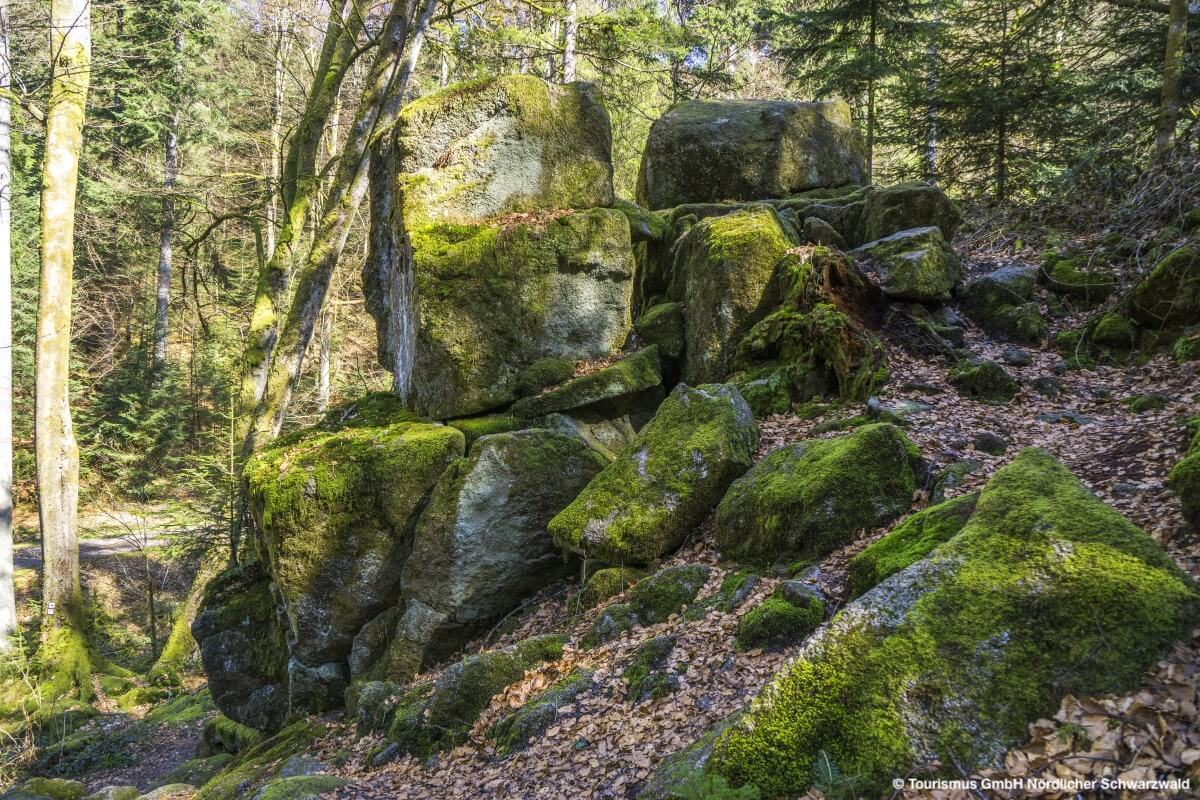 Wilder Schwarzwald in Bad Herrenalb © Tourismus GmbH Nördlicher Schwarzwald