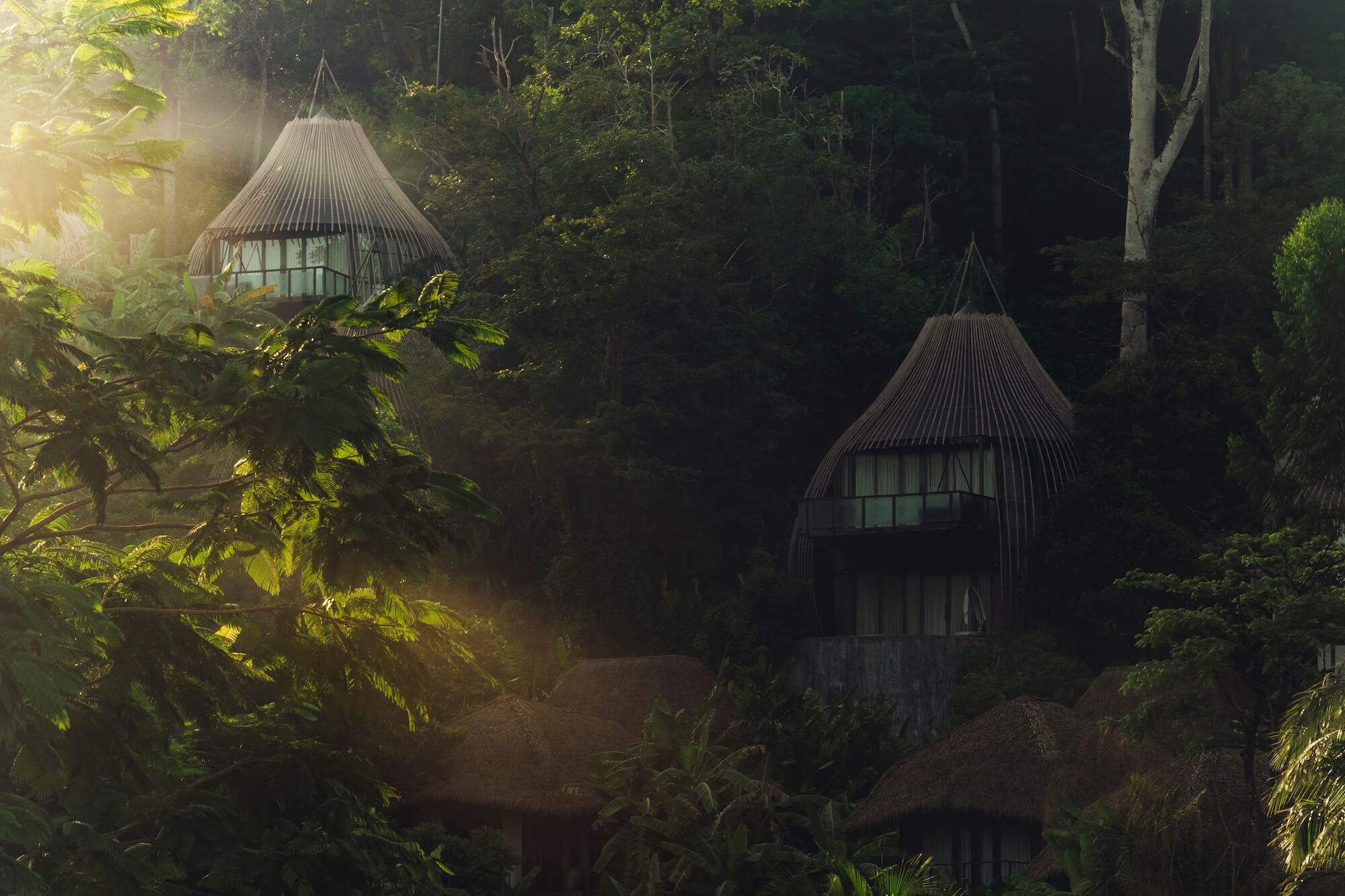 Keemala Tree Pool House Phuket Thailand