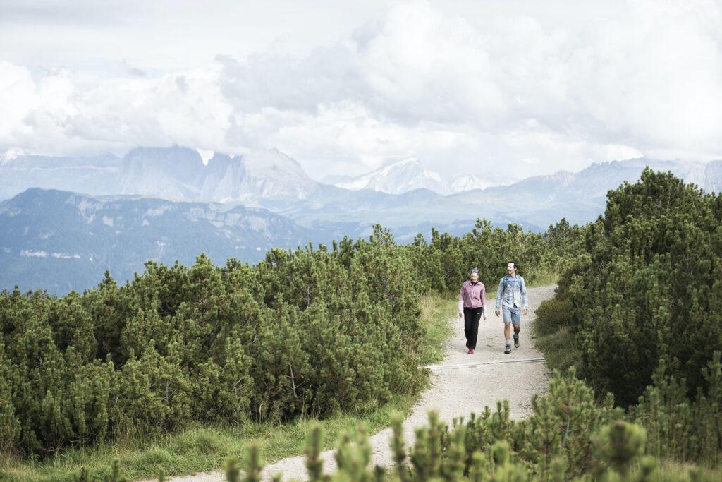 Aktivprogramm in der nachhaltigen ADLER Lodge RITTEN in Südtirol: Wandern vor dem Bergpanorama.