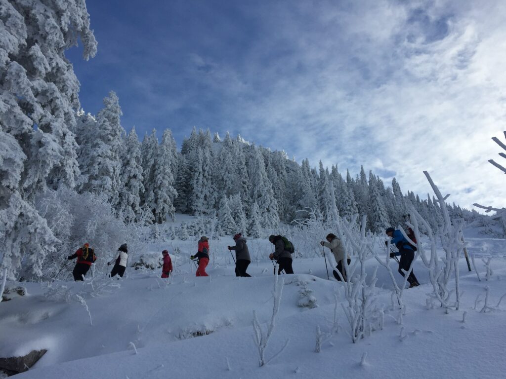 Eine Gruppe von Menschen, die mit Schneeschuhen durch einen verschneiten Wald in Bayern bergauf wandert. Die Szene vermittelt ein Gefühl von Abenteuer und Ruhe unter einem teilweise bewölkten Himmel.
