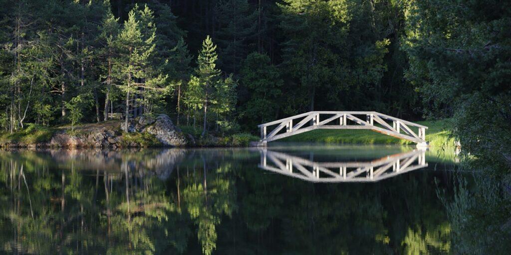 Eine ruhige Waldszene mit einer Holzbrücke, die sich über den Wolfsgrubener See spannt und sich perfekt im Wasser spiegelt. Das Sonnenlicht beleuchtet sanft die üppig grünen Bäume.