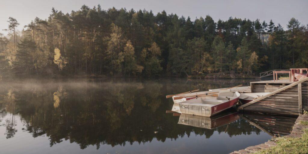 Ruhige Szene am Wolfsgrubensee mit einem angedockten Ruderboot, umgeben von nebligen Kiefern und Birken. Die friedliche Atmosphäre wird durch das sanfte Morgenlicht unterstrichen.