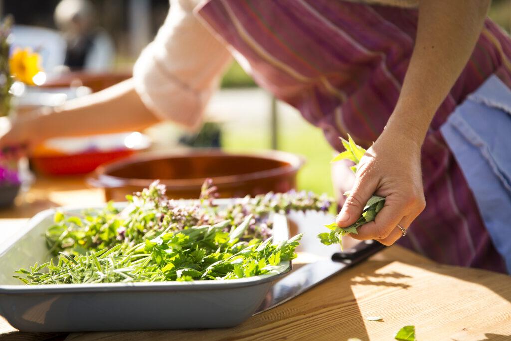 Frische Lbensmittel aus dem Küchengarten