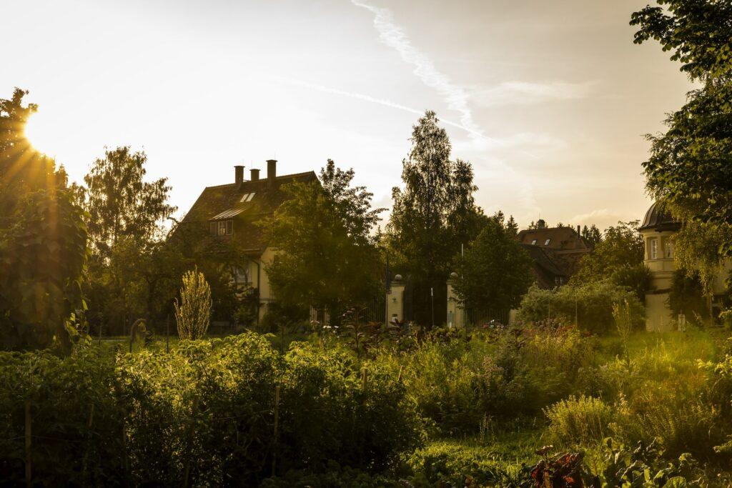 Sonnenuntergang über dem üppig grünen Garten mit Bäumen und den charmanten Häusern des historischen Anwesens und nachhaltigen Hotels Gut Sonnenhausen in der Ferne. Die Sonnenstrahlen sorgen für ein warmes Leuchten und schaffen eine ruhige und friedliche Atmosphäre.