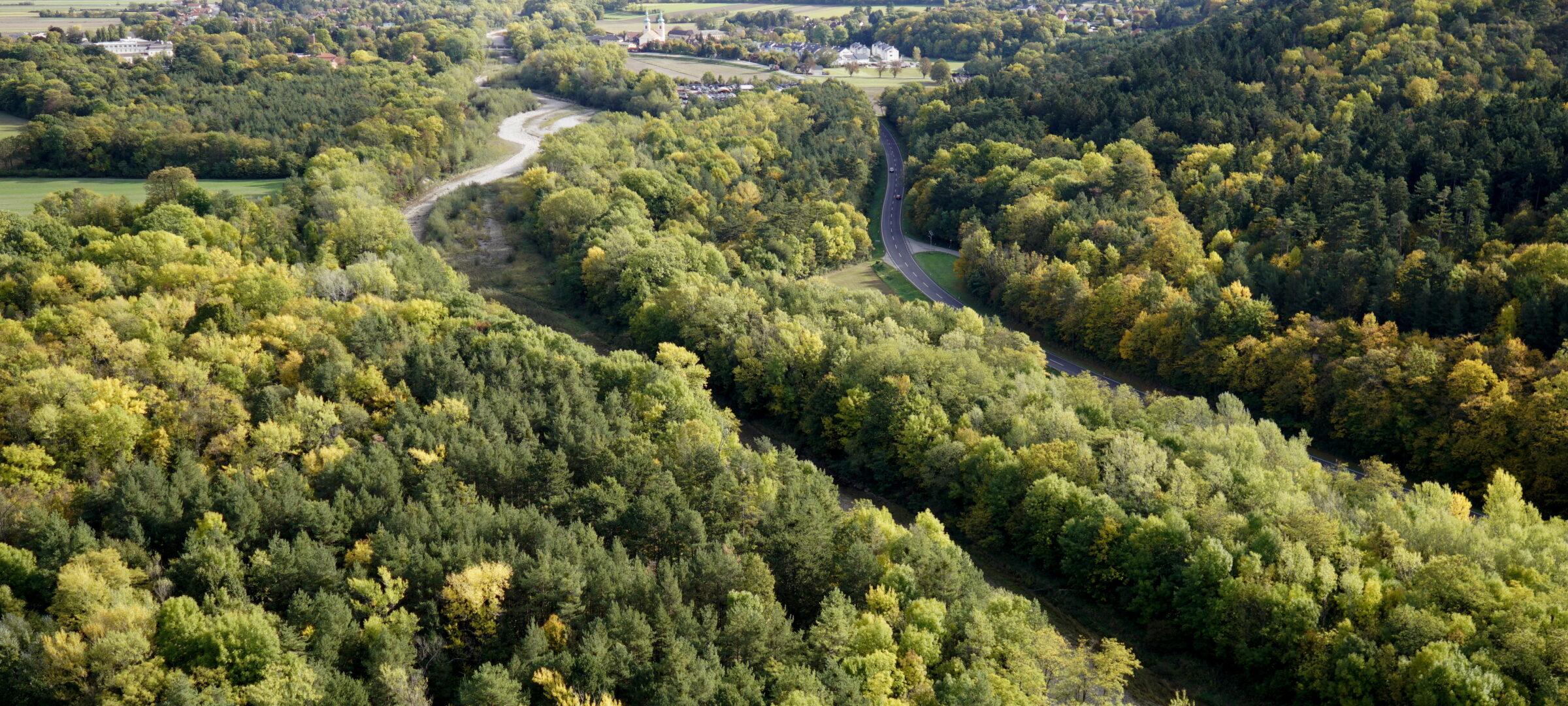 Niederösterreich, Gut Guntrams, Auwald, Schwarze
