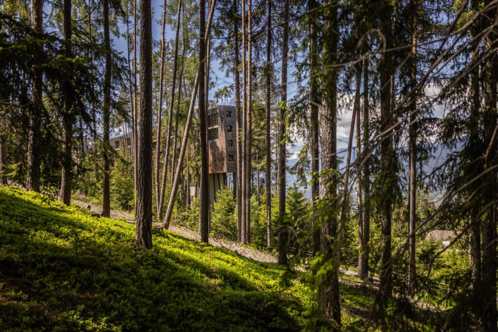 Blick durch die Bäume auf das nachhaltige Hotel auf Stelzen My Arbor