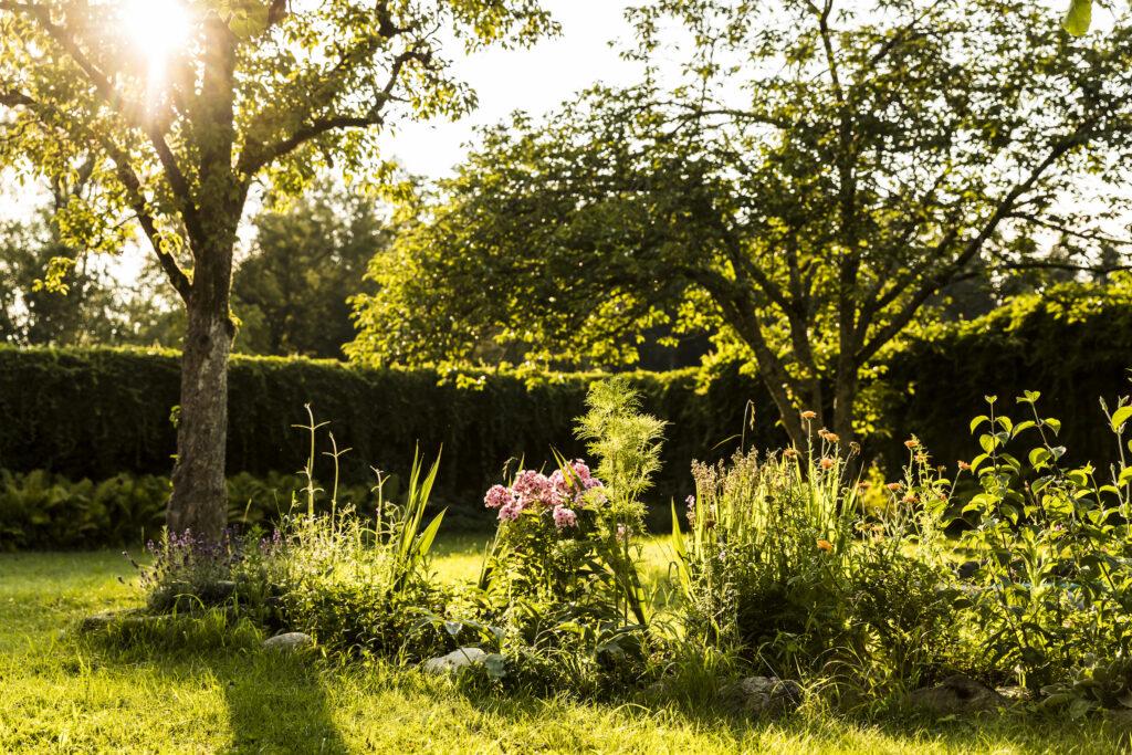 Gartenstimmung auf Gut Sonnenhausen