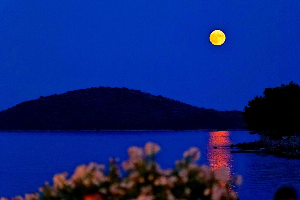 Ein heller, goldener Vollmond wirft ein schimmerndes Spiegelbild auf ein ruhiges blaues Meer in Kroatien vor dem nachhaltigen Hotel Korinjak, mit einer Insel im Hintergrund und verschwommenen Blumen im Vordergrund in der Dämmerung.