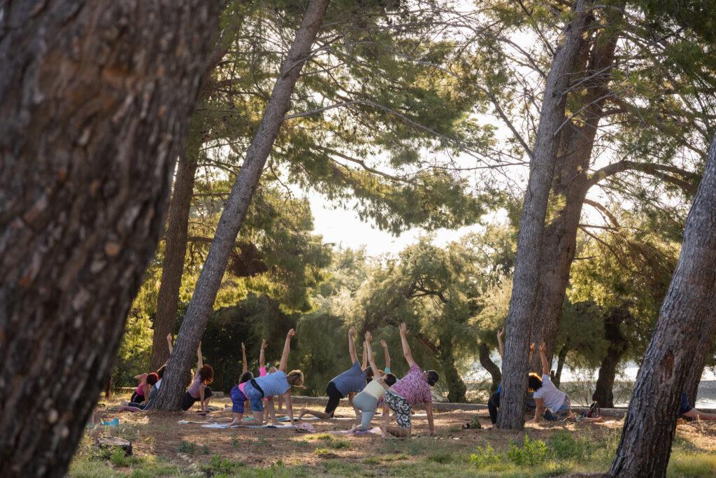 Eine Gruppe von Menschen praktiziert Yoga in einem sonnendurchfluteten Wald am nachhaltigen Hotel Korinjak in Kroatien, umgeben von hohen Kiefern. Sie knien auf Matten, strecken sich nach oben und schaffen eine ruhige Atmosphäre.