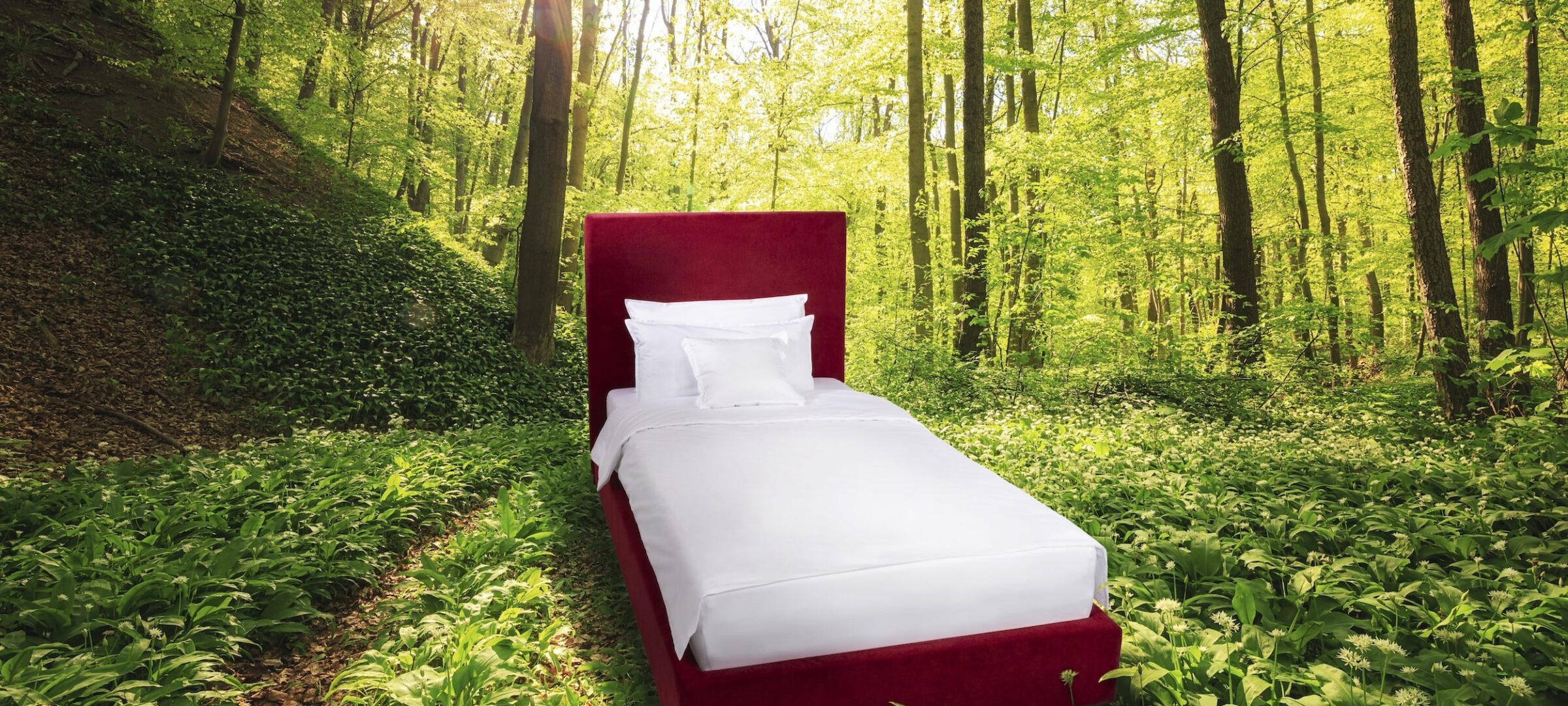Ein rotes swissfeel Bett mit weißen Laken steht auf einer sonnendurchfluteten Waldlichtung. Hohe Bäume umgeben das Bett und schaffen eine ruhige und märchenhafte Atmosphäre.