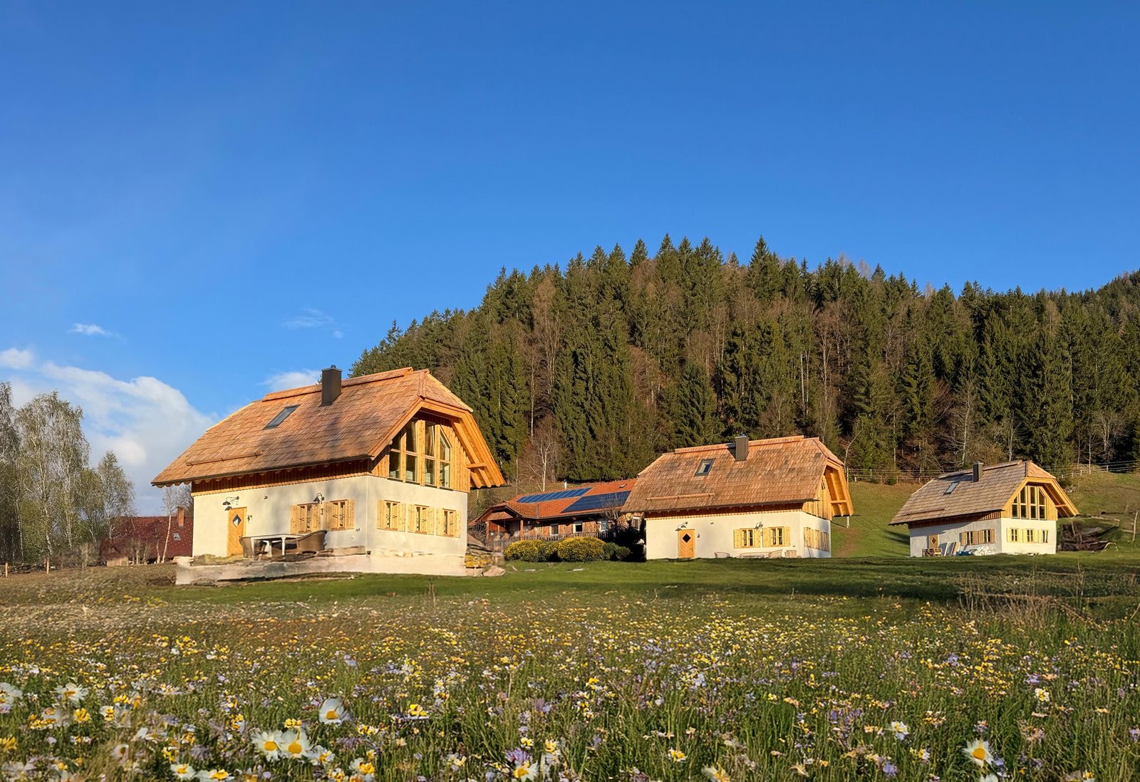 Three charming wooden vacation homes with sloping roofs from Ebner 1822 in Austria are located in the middle of a lush green meadow with wildflowers under a bright blue sky and wooded hills.