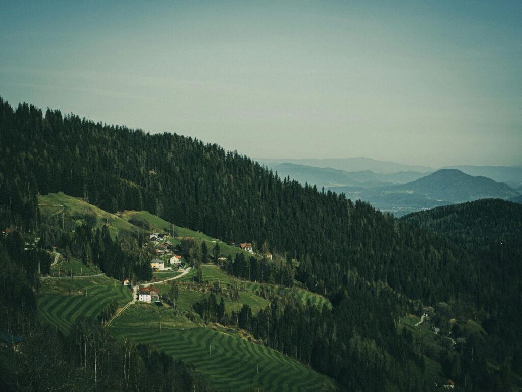 A tranquil mountain landscape in Carinthia, Austria, with a wooded hill on the left, dotted with houses and winding roads stretching under a clear sky to misty mountains.