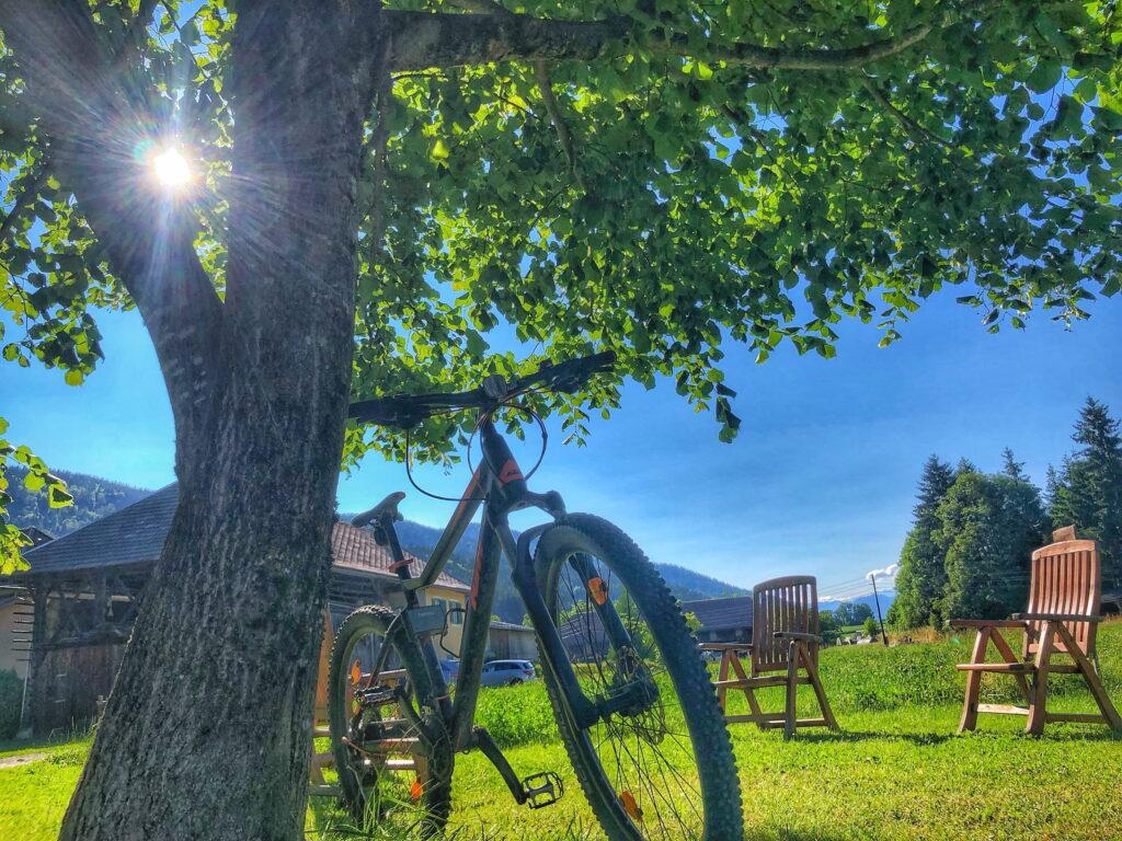 A bicycle leans against a tree in the sunny garden of the Austrian Hotel Schloss Lerchenhof, while rays of sunshine shine through the green leaves. Wooden chairs are scattered on the bright green lawn under a bright blue sky.