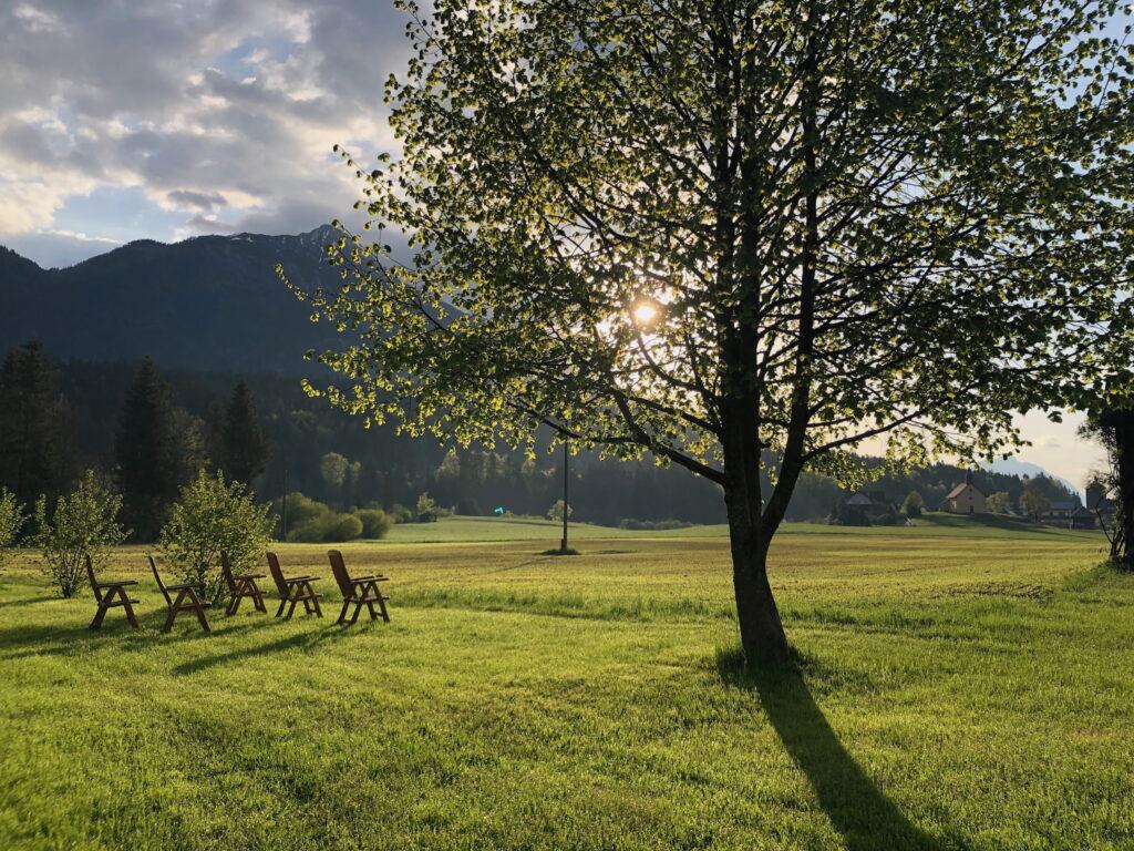 Sunlight filters through a tree onto a lush green meadow with mountains in the background at the power spot surrounding the sustainable boutique hotel Schloss Lerchenhof. Wooden chairs are scattered nearby, radiating tranquility.