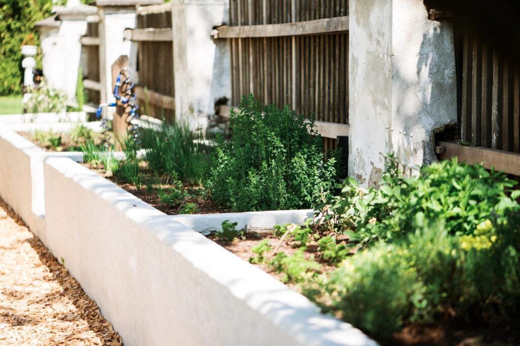 A sun-drenched raised bed with lush green herbs and plants at the sustainable Slow Food Hotel Schloss Lerchenhof, surrounded by a light-colored stone wall. In the background, a weathered wooden fence creates a peaceful, rustic atmosphere.