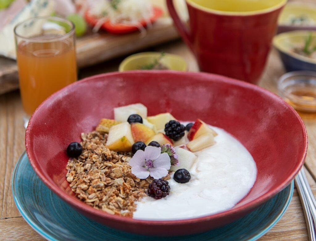 A bright red bowl filled with yogurt, muesli, and mixed fruit, garnished with a flower at the Slow Food breakfast at Schloss Lerchenhof in Austria. Next to it is orange juice, creating a fresh breakfast scene.