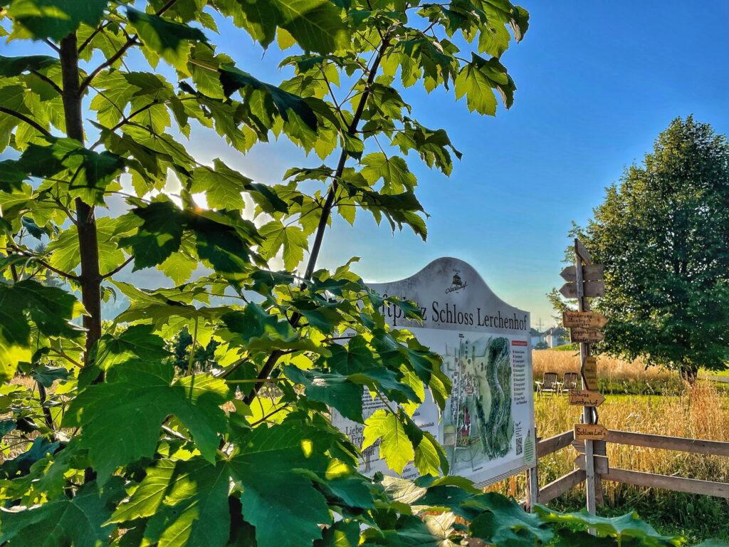 Sunlight filters through bright green leaves, partially obscuring a sign that reads “Schloss Lerchenhof” against a bright blue sky with tall grass and trees.