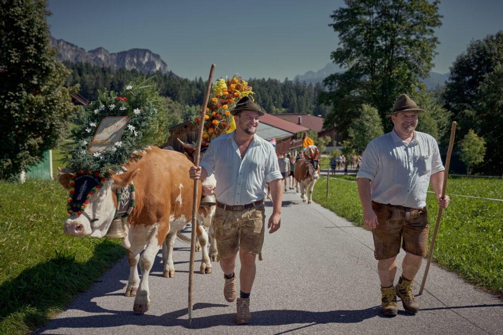 Zwei Männer in Trachten mit Hirtenstöcken führen geschmückte Kühe auf einem Weg in ländlicher Berglandschaft mit Bäumen und Häusern