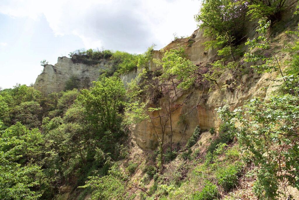 Rock formation with steep, overgrown cliffs and trees in Piedmont